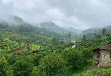 Photo of साउथ इंडिया के इस हिल स्टेशन को कहते हैं केरल का कश्मीर