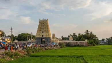 Photo of भीड़भाड़ से दूर सुकून की है तलाश, तो करें पालकोल्लू की सैर