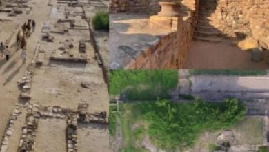 Photo of सिर्फ रण उत्सव ही नहीं, कच्छ के ये 5 ‘ऑफबीट’ डेस्टिनेशन भी हैं बेहद खास