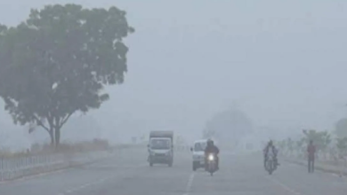 Photo of हरियाणा में शीतलहर का प्रकोप जारी