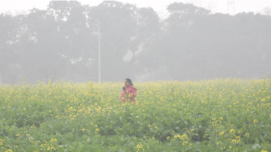 Photo of पंजाब में शीतलहर से गिरा पारा, तापमान में 2 डिग्री तक