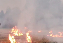 Photo of हरियाणा: अब पराली की तर्ज पर गेहूं के फसल अवशेष जलाने पर होगी सख्ती