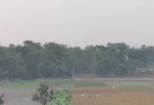 Photo of पटना समेत कई जिलों में लगातार बढ़ रही है ठंड