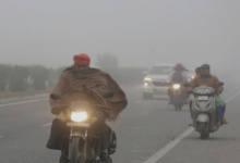 Photo of पंजाब में शीतलहर और कोहरे की दोहरी मार