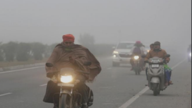 Photo of पंजाब में शीतलहर और कोहरे की दोहरी मार