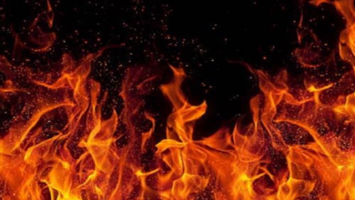 Photo of जंगल की आग बुझाने का ऑपरेशन जारी: 85% आग पर काबू, एक अधिकारी घायल