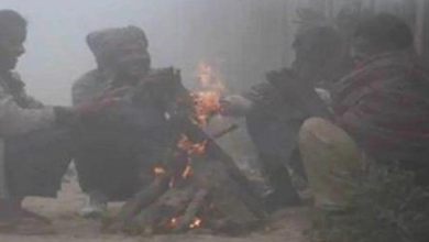 Photo of हरियाणा के इन 4 जिलों में शीतलहर का अलर्ट