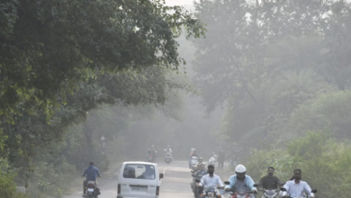 Photo of  मध्यप्रदेश में बढ़ने लगी ठिठुरन, अगले दो दिन में पढ़ेगी कड़ाके की सर्दी