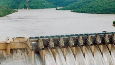 Photo of पंजाब के डैम को लेकर चिंता वाली खबर! पानी की स्टोरेज को लेकर चौंकाने वाला खुलासा