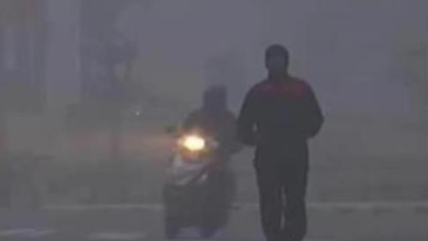 Photo of पंजाब के इन जिलों में कोल्ड वेव के बनेंगे हालात, येलो अलर्ट जारी