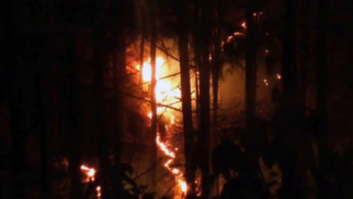 Photo of उत्तराखंड हाईकोर्ट ने जंगल की आग पर विशेषज्ञों से मांगा मार्गदर्शन