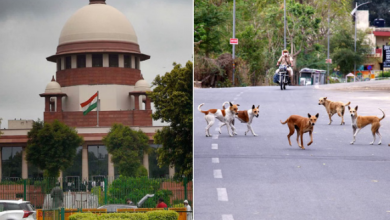 Photo of लावारिस कुत्तों पर सुप्रीम कोर्ट की सख्ती का असर