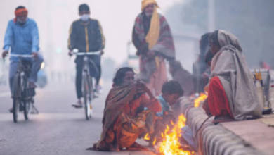 Photo of राजस्थान में शूरू हुई कड़ाके की ठंड; फतेहपुर में पारा जीरो डिग्री 