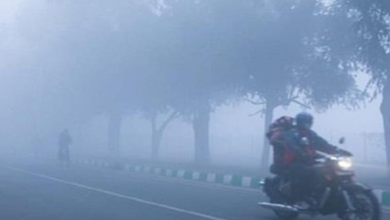 Photo of पंजाब में शीत लहर का अलर्ट! मौसम विभाग ने 11 दिसंबर तक की बड़ी भविष्यवाणी