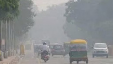 Photo of बर्फीली हवाओं की गिरफ्त में मध्यप्रदेश