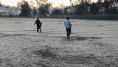 Photo of राजस्थान में कड़ाके की ठंड से राहत