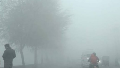 Photo of मध्य प्रदेश में बढ़ी सर्दी,11 शहर 10 डिग्री से नीचे