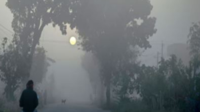 Photo of बिहार में कड़ाके की ठंड: 8 डिग्री पर पहुंचा इस शहर का तापमान