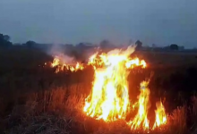 Photo of  पंजाब-हरियाणा में पराली जलाने के मामलों में 50% से ज्यादा की कमी