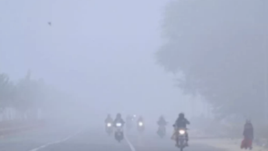 Photo of राजस्थान में कोल्ड वेव का अलर्ट जारी