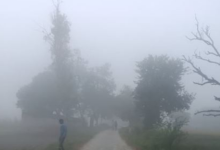 Photo of पटना समेत कई जिलों में घना कोहरा