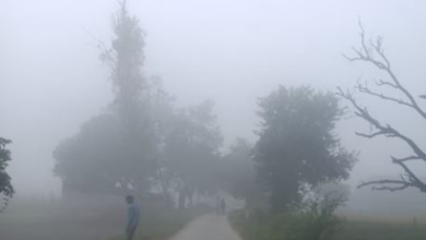 Photo of पटना समेत कई जिलों में घना कोहरा