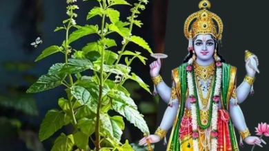 Photo of यहां पढ़ें संपूर्ण तुलसी चालीसा, गुरुवार के दिन पाठ से खुलेंगे किस्मत के ताले