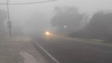 Photo of उत्तराखंड में सर्दी का सितम बढ़ने की आशंका, कोहरे का येलो अलर्ट जारी