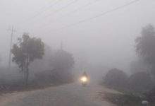 Photo of पंजाब में कल से घने कोहरे का अलर्ट: नाै जिलों में दृश्यता होगी प्रभावित