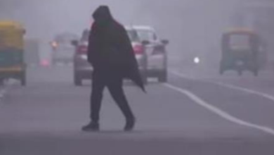 Photo of सावधान! हरियाणा में घने कोहरे का अलर्ट, 2 डिग्री गिरा पारा, सबसे ठंडा रहा ये जिला