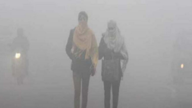 Photo of राजस्थान में 25 दिसंबर तक सामान्य सर्दी, क्रिसमस के बाद बढ़ेगी ठंड