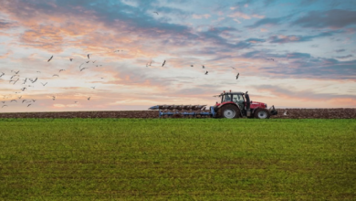 Photo of किसानों के लिए अच्छी खबर: फसल अवशेष प्रबंधन होगा आसान