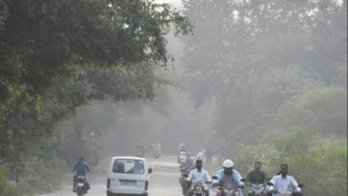 Photo of मध्यप्रदेश में रिकॉर्डतोड़ सर्दी, बर्फीली हवाओं से शीतलहर तेज