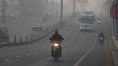 Photo of एमपी में नवंबर वाली सर्दी ने तोड़े रिकॉर्ड, दिसंबर से कड़ाके की ठंड