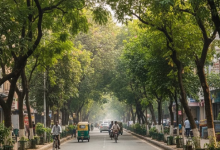 Photo of साढ़े तीन लाख पौधे बढ़ाएंगे हरियाली, दक्षिणी दिल्ली में एक साल में लगाए जाएंगे 1.30 लाख पेड़