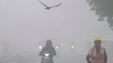 Photo of कोहरे और शीतलहर के बीच कई राज्यों में बारिश का अलर्ट