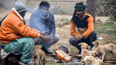 Photo of कश्मीर में माइनस 4˚C पहुंचा तापमान, दिल्ली-NCR की रफ्तार थमी; पहाड़ों पर बर्फबारी का अलर्ट जारी