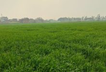 Photo of बरेली: परसाखेड़ा आवासीय योजना के लिए जमीन देने से किसानों का इन्कार