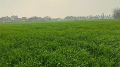 Photo of बरेली: परसाखेड़ा आवासीय योजना के लिए जमीन देने से किसानों का इन्कार