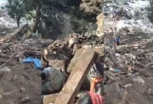 Photo of किश्तवाड़ में भूस्खलन का कहर, ढोक दबने से 60 से अधिक भेड़-बकरियों की मौत