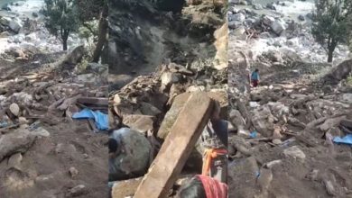 Photo of किश्तवाड़ में भूस्खलन का कहर, ढोक दबने से 60 से अधिक भेड़-बकरियों की मौत