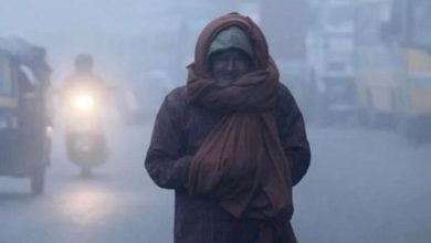 Photo of आज फिर करवट लेगा मौसम, पड़ेगी कड़ाके की ठंड…छाया रहेगा घना कोहरा