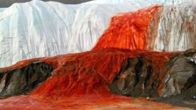 Photo of अंटार्कटिका का ‘खूनी झरना’, क्या है सफेद बर्फ के बीच बहते लाल पानी का रहस्य?