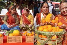 Photo of माल्टा महोत्सव आज से; गीता धामी ने किया प्रोत्साहित, ‘घाम तापो-नींबू सानो’ का प्रदर्शन होगा खास