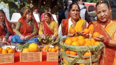 Photo of माल्टा महोत्सव आज से; गीता धामी ने किया प्रोत्साहित, ‘घाम तापो-नींबू सानो’ का प्रदर्शन होगा खास