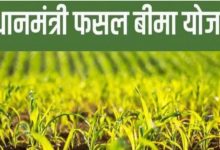 Photo of फसल बीमा के नाम पर मजाक: इंश्योरेंस कंपनी ने कमाए 9.5 करोड़