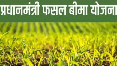 Photo of फसल बीमा के नाम पर मजाक: इंश्योरेंस कंपनी ने कमाए 9.5 करोड़