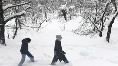 Photo of खूबसूरत नजारे, लेकिन मुश्किलें बढ़ीं…कश्मीर में भारी बर्फबारी से जनजीवन अस्त-व्यस्त