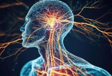 Photo of सिर्फ जेनेटिक नहीं होतीं नर्वस सिस्टम की बीमारियां…