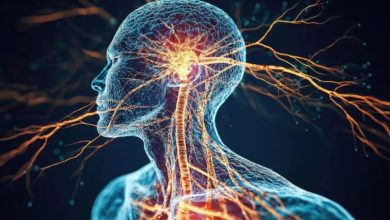 Photo of सिर्फ जेनेटिक नहीं होतीं नर्वस सिस्टम की बीमारियां…